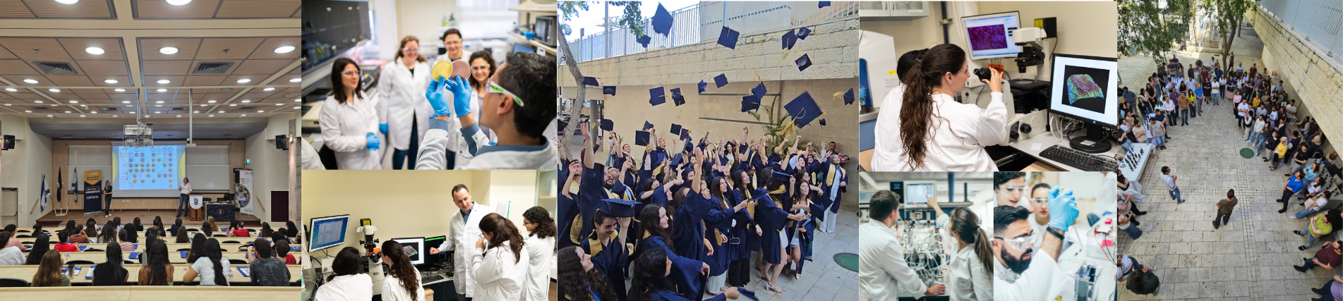 תואר ראשון בהנדסת ביוטכנולוגיה ומזון