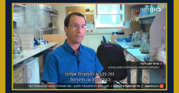 Faculty in the News