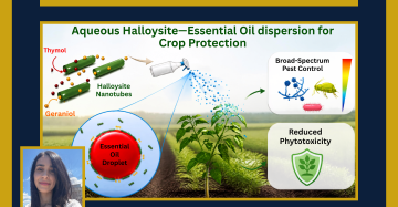 Nanotechnology for Plant Protection