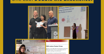 One Lab, Two Researchers, Two Excellence Awards!